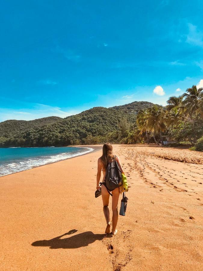Cottage La Pointe Marine Деше Экстерьер фото